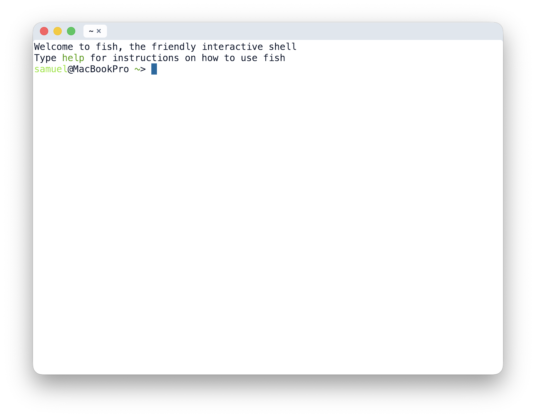 Chimera terminal before starting the platformer demo
